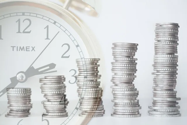 investment, finance, time, return on investment, interests, growth, business, financial, money, invest, graph, earnings, loan, profit, credit, coin, income, investor, clock, return, roi, wealth, rich, deposit, growing, retirement, fund, increase, account, investment, investment, money, invest, loan, loan, investor, investor, rich, retirement, retirement, retirement, retirement, retirement, fund, increase. Finansiel beredskab ved skalering af SMV'er
